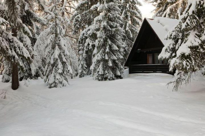 Bungalovy Pri Hoteli Spojar Žiar Buitenkant foto