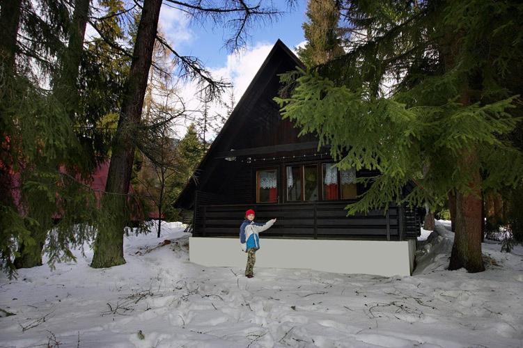 Bungalovy Pri Hoteli Spojar Žiar Buitenkant foto