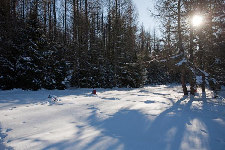 Bungalovy Pri Hoteli Spojar Žiar Buitenkant foto